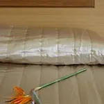 Otel Apollo Blue